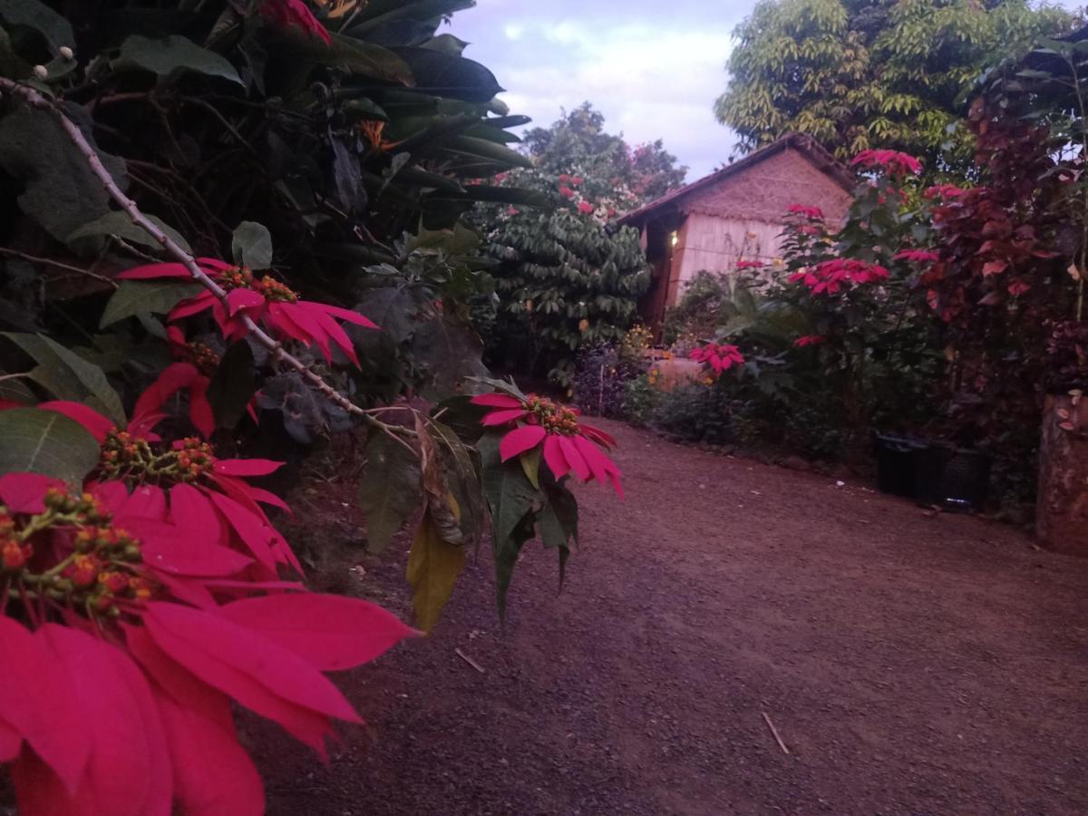 Tribal Village Homestay & Trekking Banlung Buitenkant foto