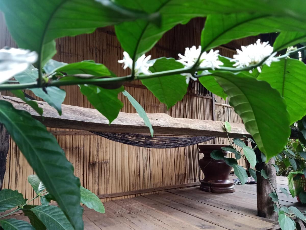 Tribal Village Homestay & Trekking Banlung Buitenkant foto