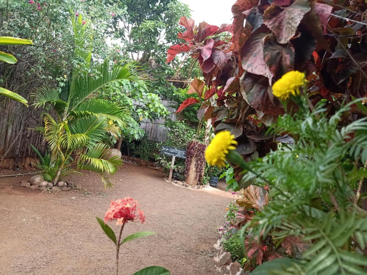 Tribal Village Homestay & Trekking Banlung Buitenkant foto